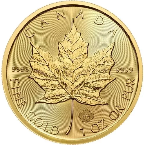 Zlatá mince Maple Leaf 1/4 Oz 2024