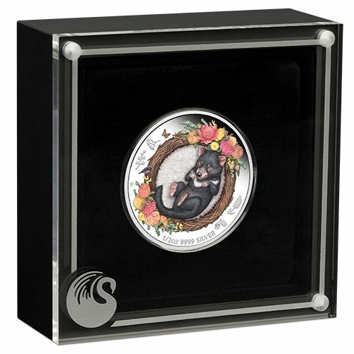 Silber-Anlagemünze Tasmanischer Tiger/Tasmanischer Teufel, farbig, Dreaming Down Under Serie 1/2 Oz 2021