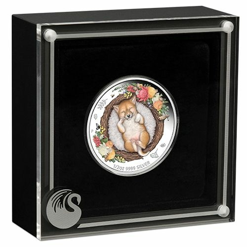 Silberne Dingo-Anlagemünze, farbig, Dreaming Down Under Serie 1/2 Oz 2021