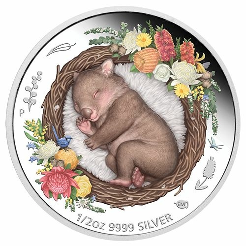 Stříbrná investiční mince Wombat, kolorovaná, Série Dreaming Down Under 1/2 Oz 2021