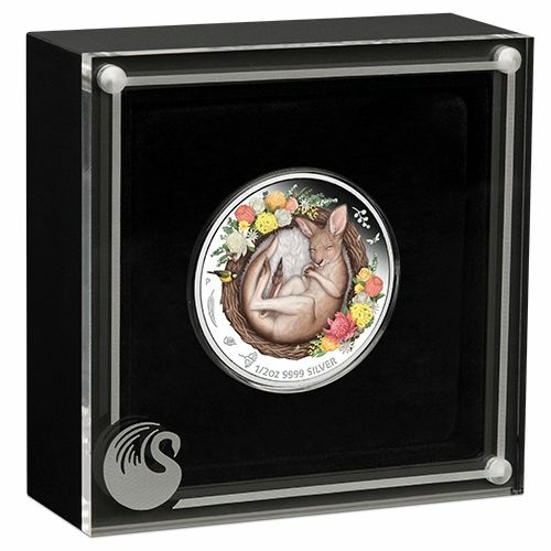 Silver Kangaroo Bullion Coin, Colored, Dreaming Down Under Series 1/2 Oz 2021