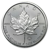 Platinová mince Maple Leaf 1 Oz 2024