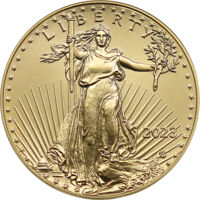Zlatá mince American Eagle 1 Oz typ 2