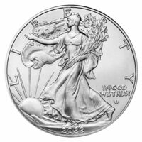 Stříbrná mince American Eagle 1 Oz 2021