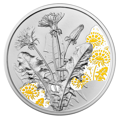 Löwenzahn Silbermünze 1/2 oz Proof 2022