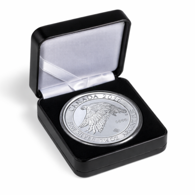 2016 1,5 oz Kanada Silber Schneefalke
