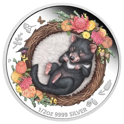 Silber-Anlagemünze Tasmanischer Tiger/Tasmanischer Teufel, farbig, Dreaming Down Under Serie 1/2 Oz 2021