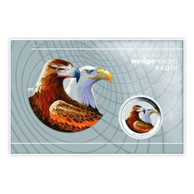 Australischer Keilschwanzadler 2026 – 1-Unze-Silbermünze in Kartonverpackung